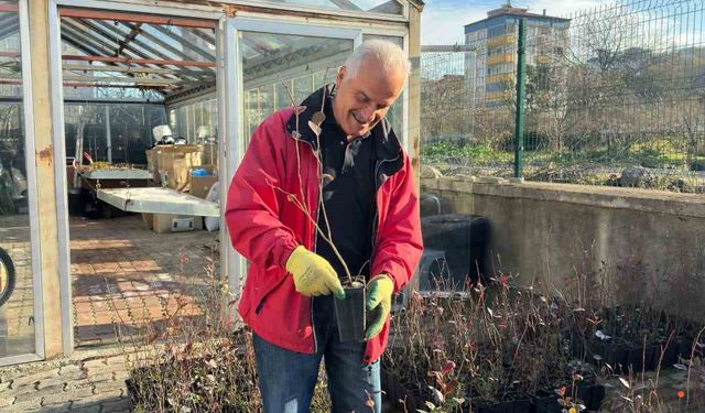 Giresun'dan mavi yemiş atağı