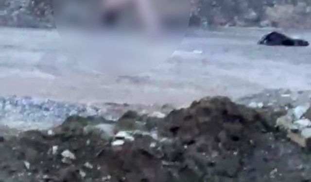 Köprü altında akıllara durgunluk veren görüntüler