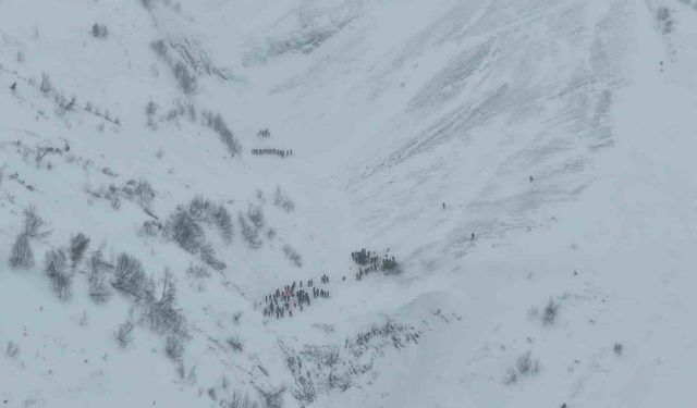 Artvin’de Çığ Faciası: 2 Çoban Hayatını Kaybetti, 1 Kişi Aranıyor