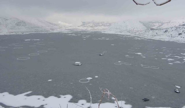 Adıyaman'da Çat Barajı'nın yüzeyi buz tuttu