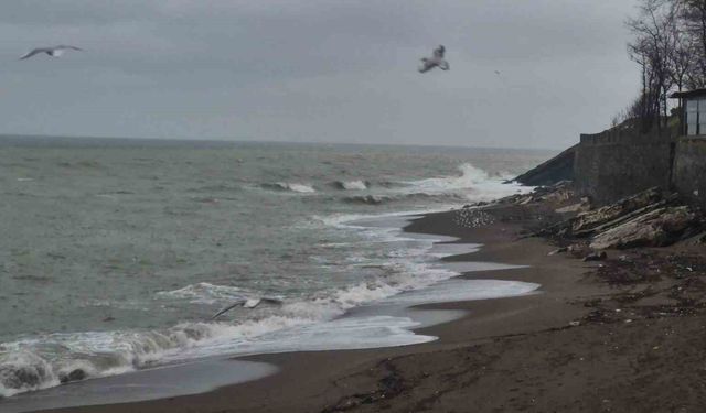 Akçakoca'da sağanak ve fırtına etkili oldu: Dalgalar sahili dövdü