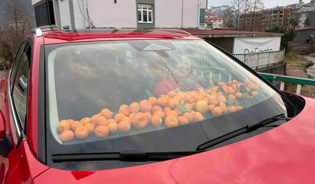 Artvin'de mandalina bereketi torpidoya taştı