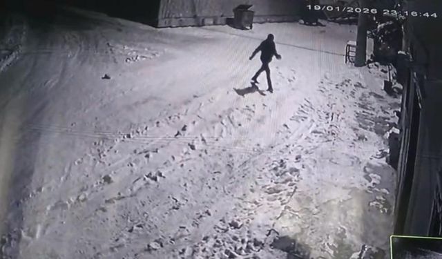 Bahçesine giren kurtları çaydanlıktaki sıcak suyla kovaladı