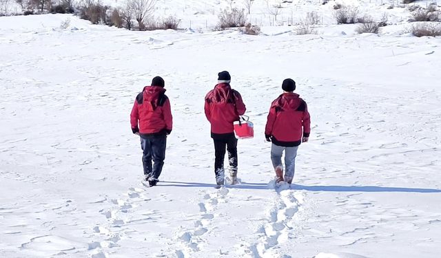 Beyaz esaretin içinde hayat kurtaran eller