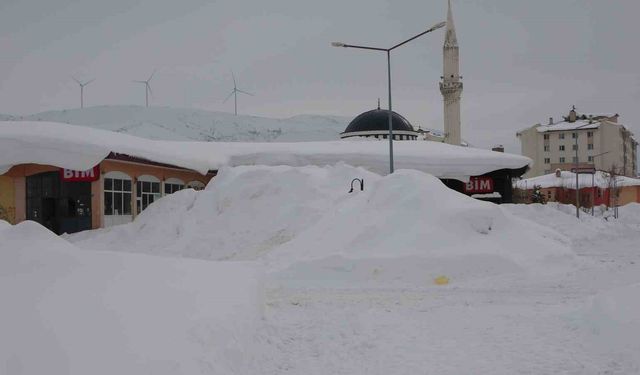 Bitlis'te kış şartları ağırlaşıyor, 124 köy yolu kapandı