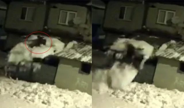 Çatıdaki karı temizlerken kar kütlesiyle zemine düştü