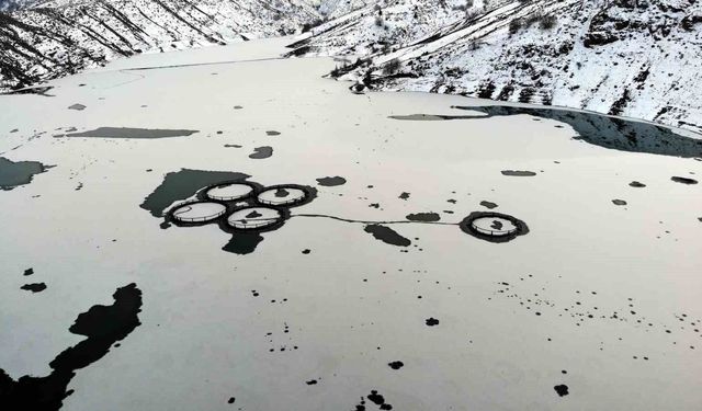 Erzincan'da baraj buzla kaplandı