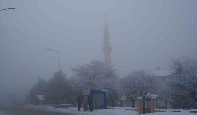 Erzurum'da sis ulaşımı aksattı