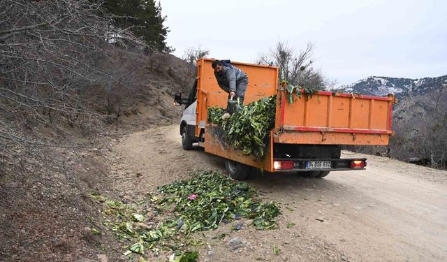 Isparta'da kışın aç kalan yaban hayvanlarına duyarlı dokunuş