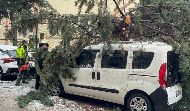 Kökünden sökülen ağaç park halindeki aracın üzerine devrildi