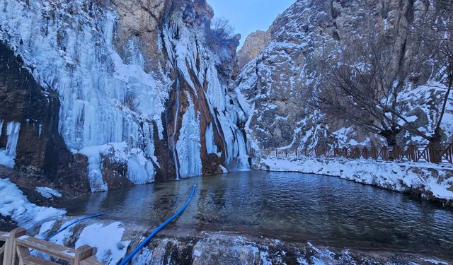 Malatya'da Gürpınar Şelalesi buz tuttu