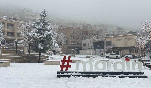 Mardin'de kar yağışı etkili oluyor