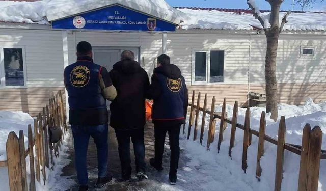 Muş'ta 4 yıl 2 ay hapis cezası bulunan şahıs yakalandı