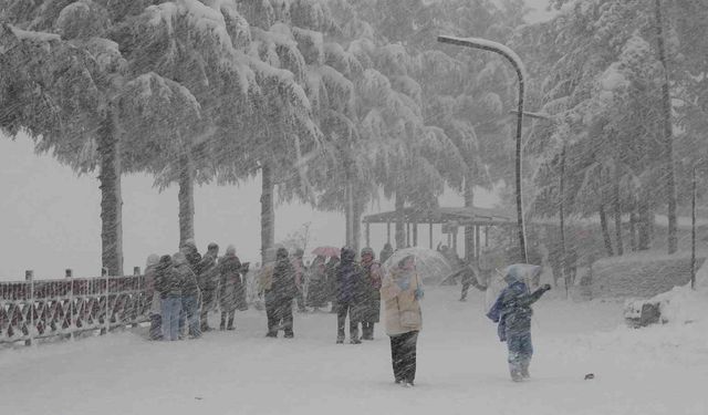 Ordu'da yeni yılın ilk kar yağışı etkili oldu