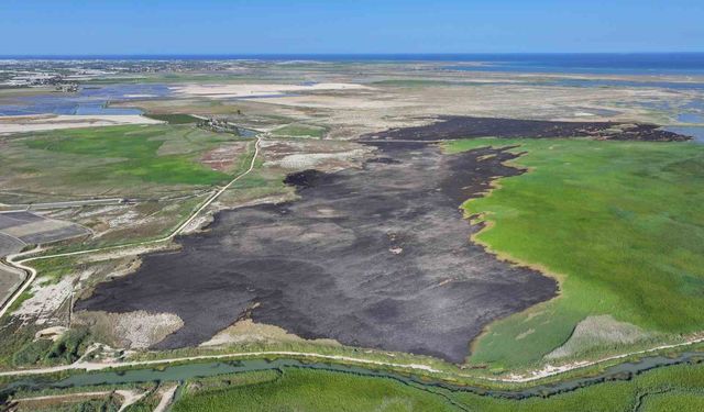 Prof. Dr. Halil Kumbur: 'Su kaynakları iyi yönetilmezse Türkiye su fakiri olacak'