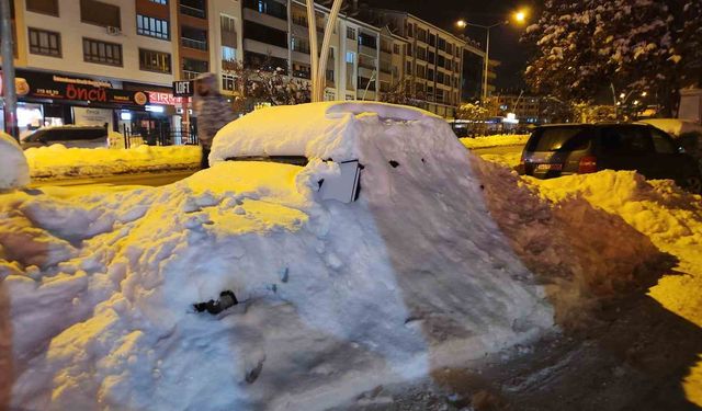 Tunceli'de kar esareti: Araçlar kar yığınları arasında kayboldu
