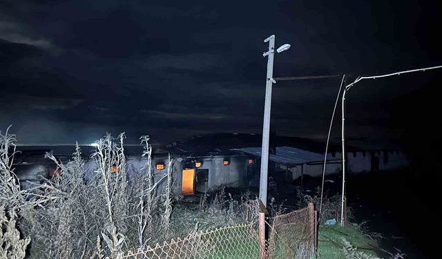 Uşak'ta boş tavuk çiftliğinde çıkan yangın korkuttu