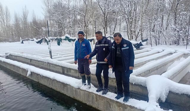 Van'da zorlu kış şartlarında alabalık üretimi mercek altında