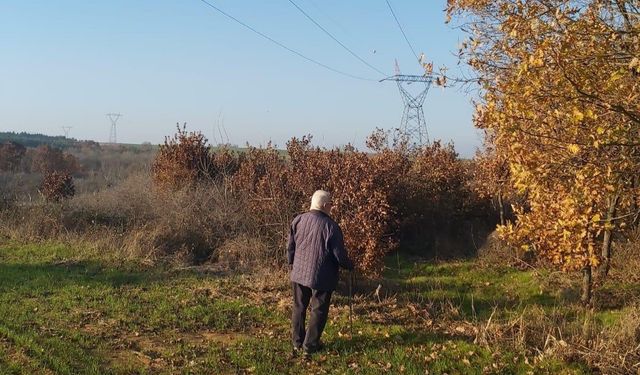 Yargıtay'dan kamulaştırma davasında emsal karar