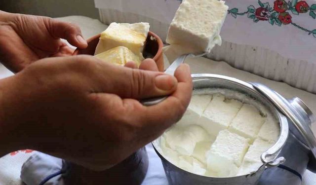 Bartın'ın meşhur manda yoğurdu Kültürel Miras listesine eklendi