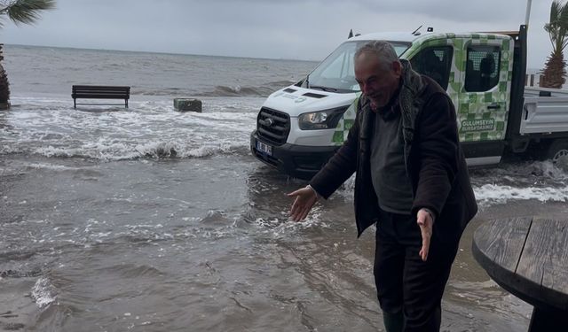 'Birazdan balıklar gelir' dedi, kuşlar sahil yolunda avladı