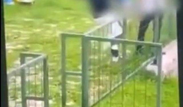 Bodrum'da akran zorbalığı: Çocuğu feci şekilde darbederek bayılttı