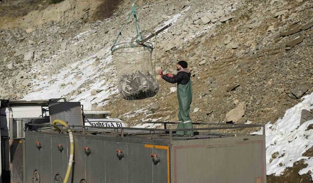 Denizi olmayan Gümüşhane'de alabalık üretimi 2 bin tona ulaştı