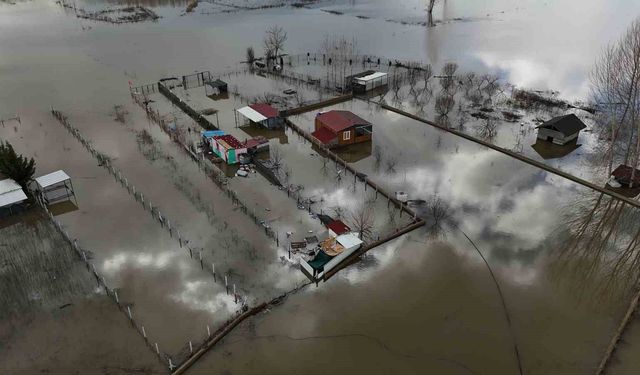 Edirne'de taşkının izleri havadan görüntülendi