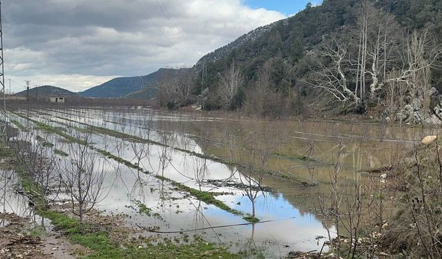 Elmanın başkenti Eğirdir'de yağış bereketi bahçeleri göle çevirdi