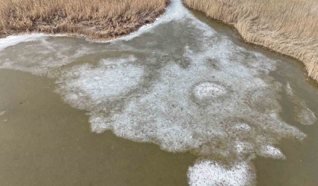 Iğdır'da donan Karasu Sazlığı'nda buzlar eriyor