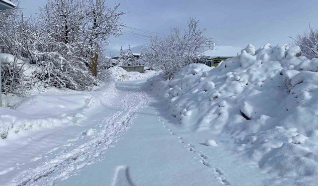 Karlıova'da kar yağışı etkisini sürdürüyor