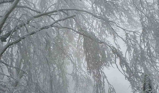 Kırklareli'nin yüksek kesimleri beyaza büründü