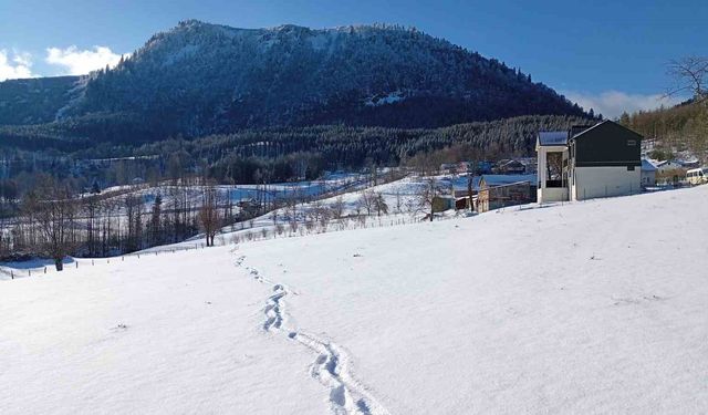 Sakarya'nın yüksek kesimleri yeniden karla buluştu