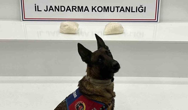 Şanlıurfa'da 2 kilo uyuşturucu ele geçirildi: 2 gözaltı