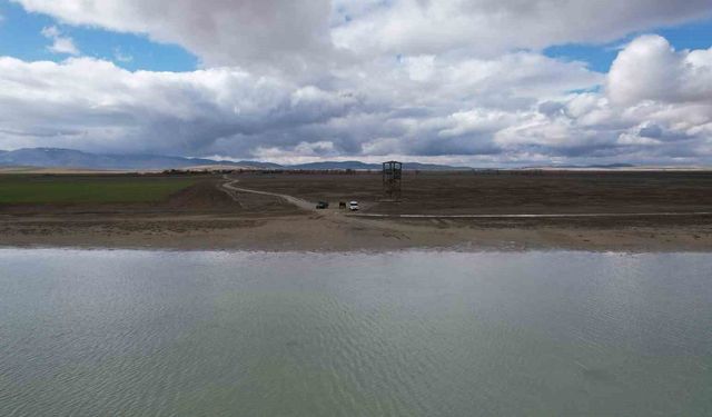 Seyfe Gölü'nde flamingo cümbüşü havadan görüntülendi