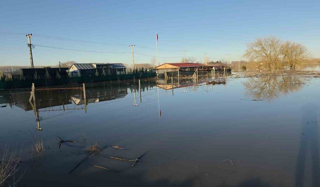 Taşkın sularının kapladığı tarım arazileri buz tuttu