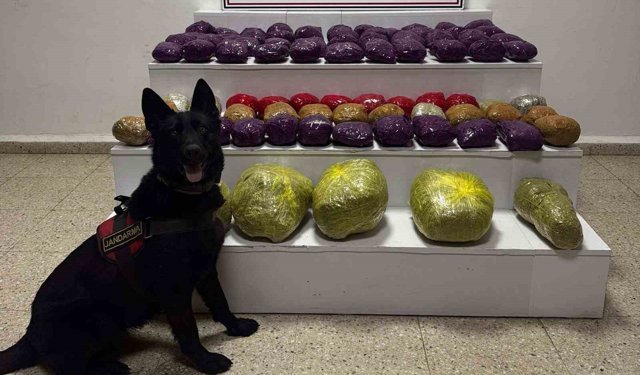 Van'da 31,5 kilo uyuşturucu ele geçirildi