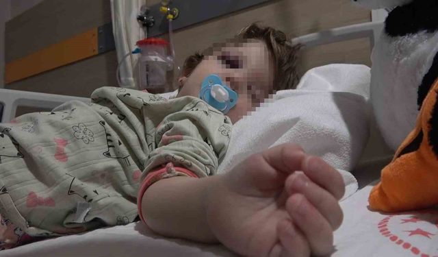 Yalova'da komşuların gürültü kavgasında 14 aylık bebek hastanelik oldu