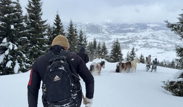 2 bin 100 rakımlı kışlada aylarca kar altında mahsur kalan atları köyün gençleri kurtardı