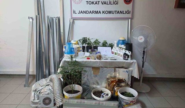 Bilgi notuyla apartman dairesinde uyuşturucu serası kurdular, jandarmadan kaçamadılar