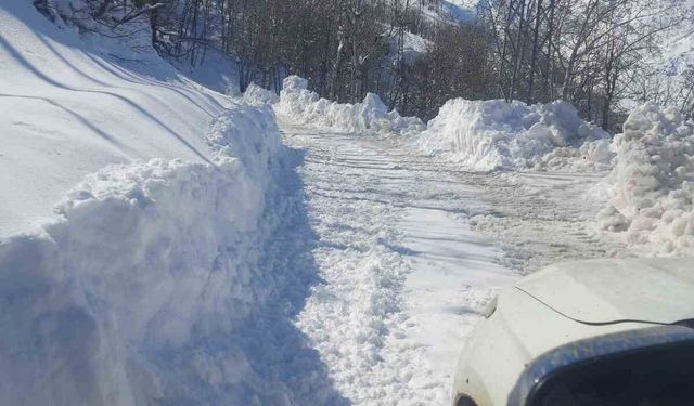 Bingöl'de kapalı köy yolları bir bir açılıyor