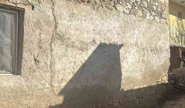 Depreme uyanan kadın dua ederek sarsıntının geçmesini bekledi