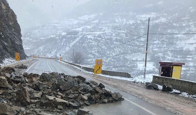 Gümüşhane'de heyelan karayolunu kapattı