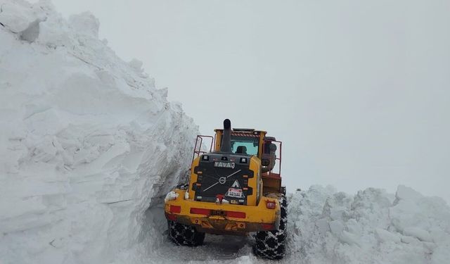 Hakkari'de kapanan tüm köy ve mezra yolları yeniden açıldı