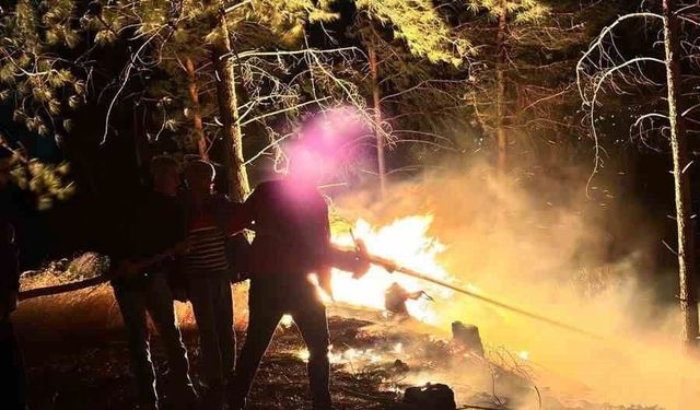 Hatay'da ormanlık alanda çıkan yangın büyümeden söndürüldü