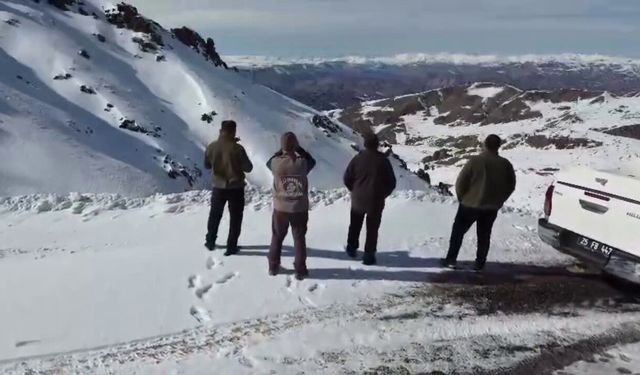 Kaçak ve usulsüz avlanmaya geçit vermiyorlar