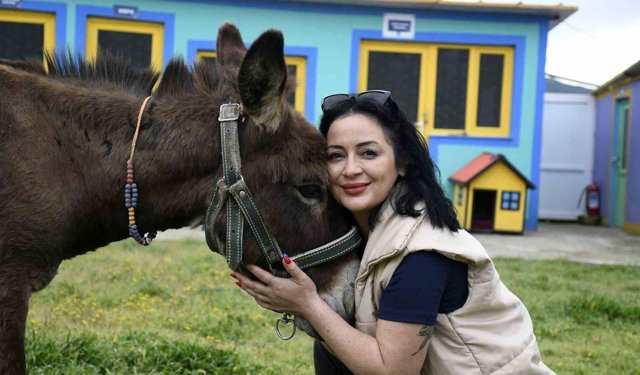 Kuşadası'ndan saplandığı çamurdan kurtarılan eşek koruma altına alındı