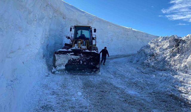 Muş'ta kapanan tüm köy yolları ulaşıma açıldı