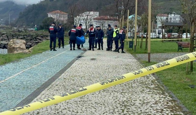 Ordu'da sahile insansız araç olduğu değerlendirilen cisim vurdu