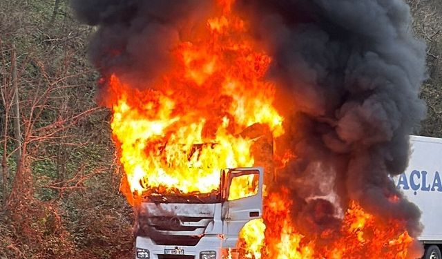 Rize'de arızalanan tır alev alev yandı